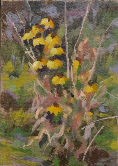Brown Eyed Susans