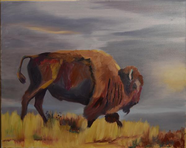 Bison